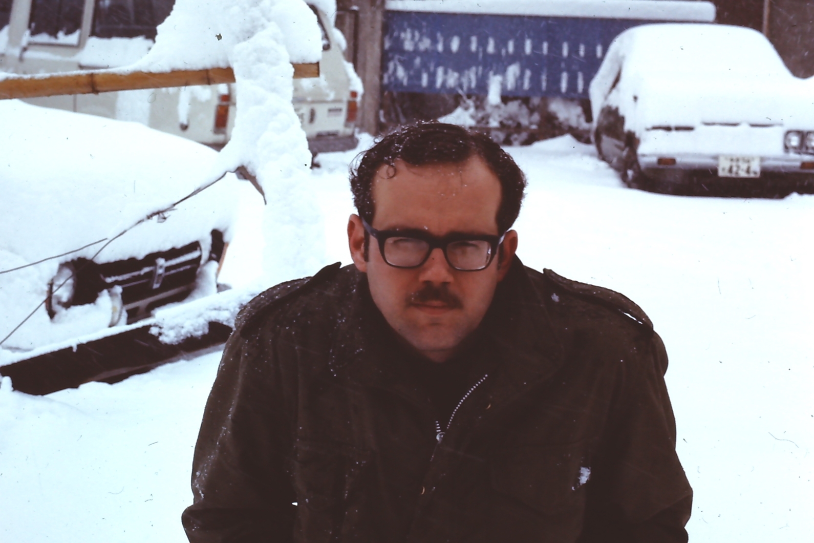 articles menu pic 264